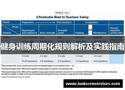 健身训练周期化规则解析及实践指南